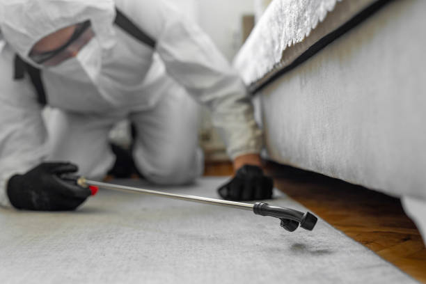 Professional Pest Control technician working in Hickory County County, MO